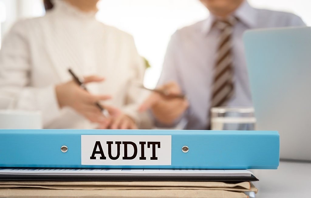 Comprehensive Guide: Items Reportable in the Tax Audit Report